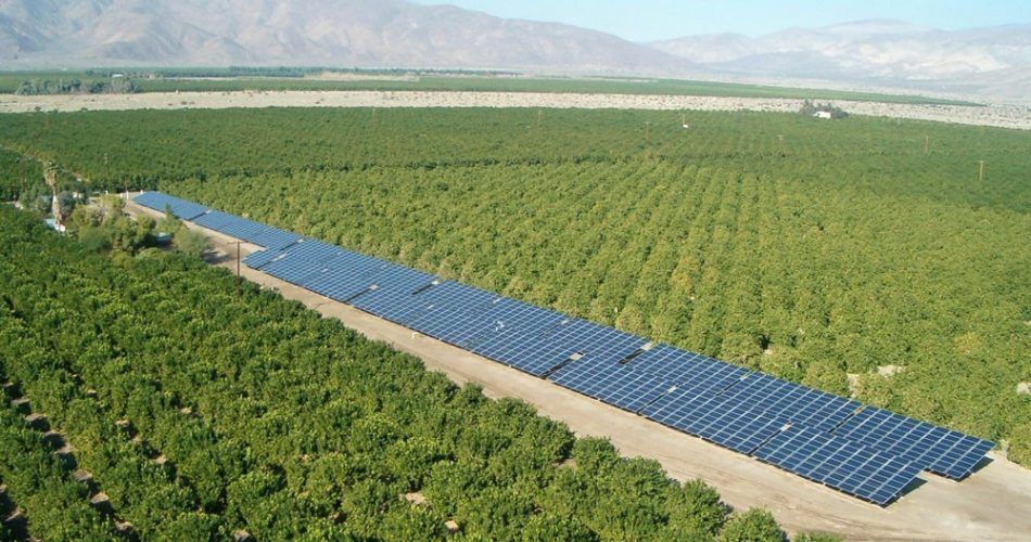 Solar Powered Drip Irrigation in Pakistan: A Game-Changer for Sustainable Agriculture