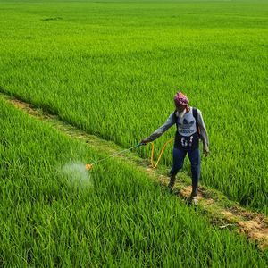 Crops Pesticides