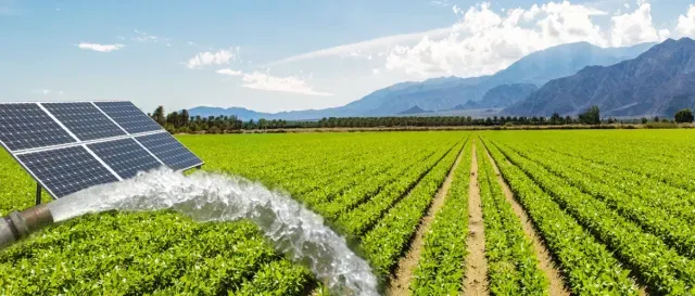 Why Solar Systems Are Essential for Modern Agriculture: Powering the Future of Farming